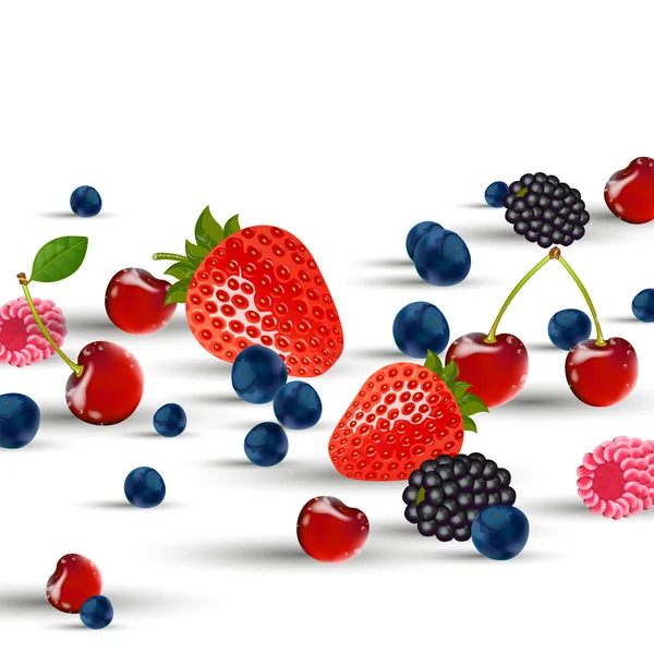 Fresh Berries — Stock Vector