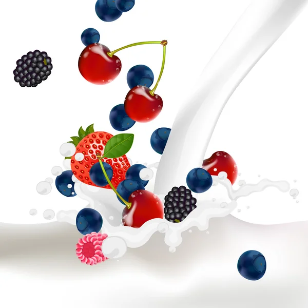 Berries Splash — Stock Vector