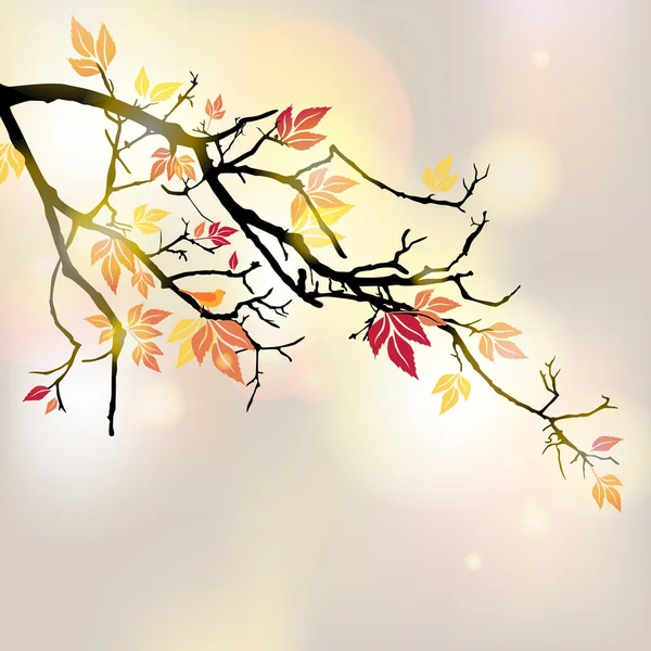 Autumnal branch — Stock Vector