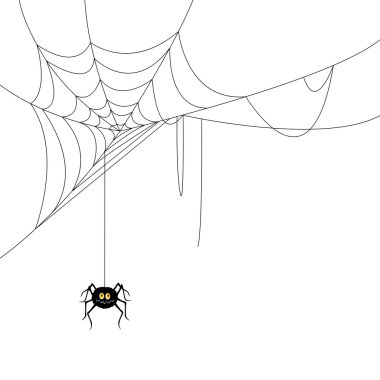 örümcek ve web