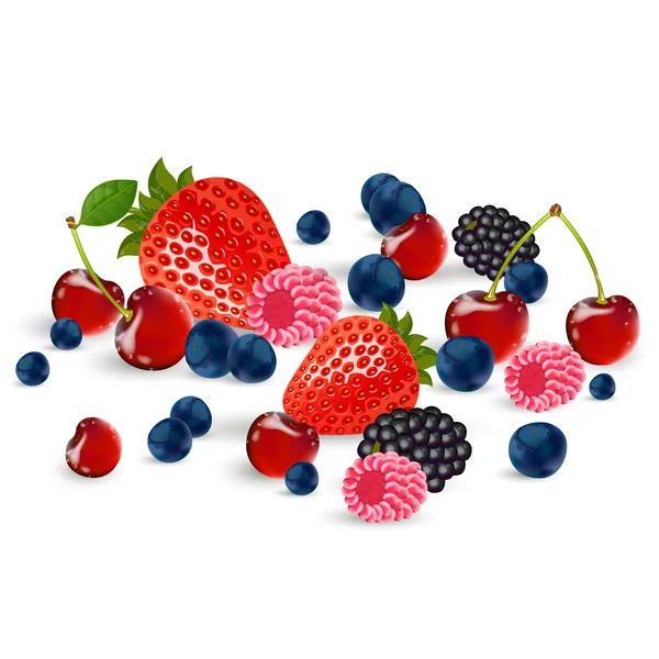 Fresh Berries — Stock Vector