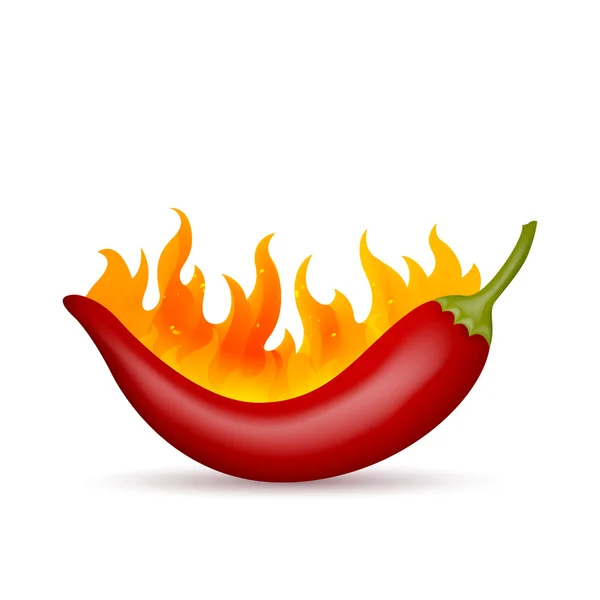Flammande röd chili — Stock vektor