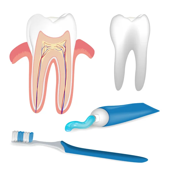 Elementos de cuidado dental — Archivo Imágenes Vectoriales