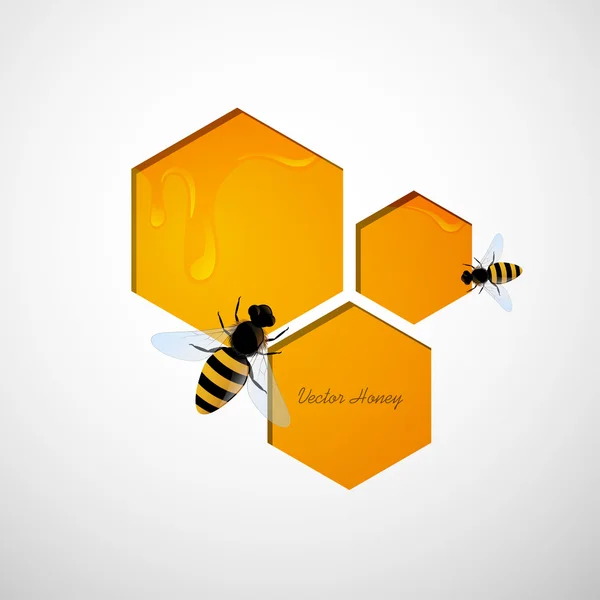 Los panales y las abejas — Vector de stock