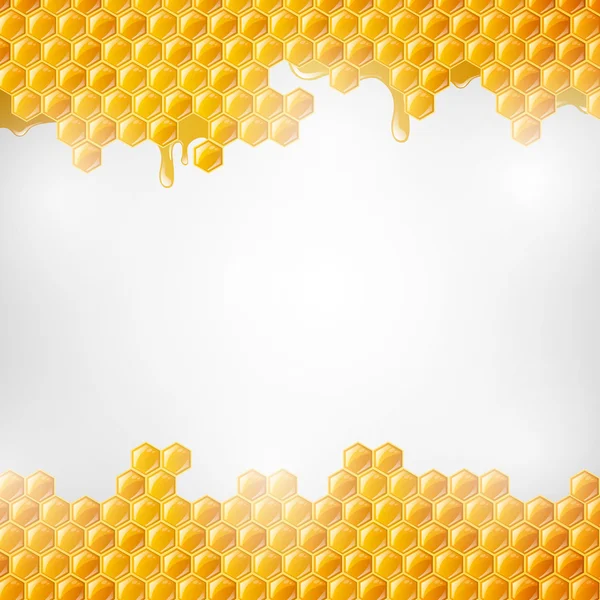 Panales de miel — Archivo Imágenes Vectoriales