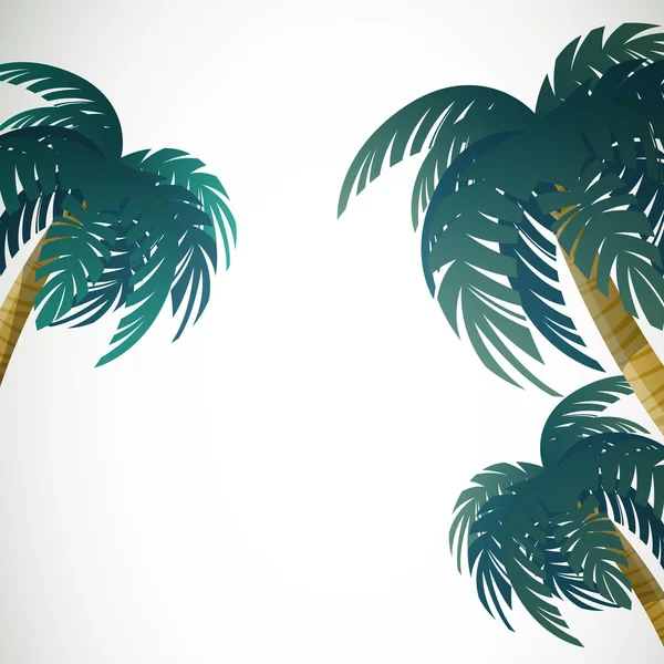 Folhas de palma —  Vetores de Stock