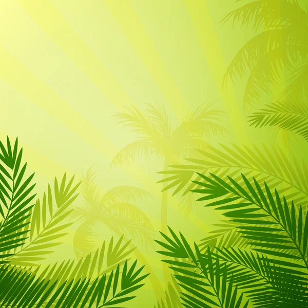 Palm Trees — Stock Vector