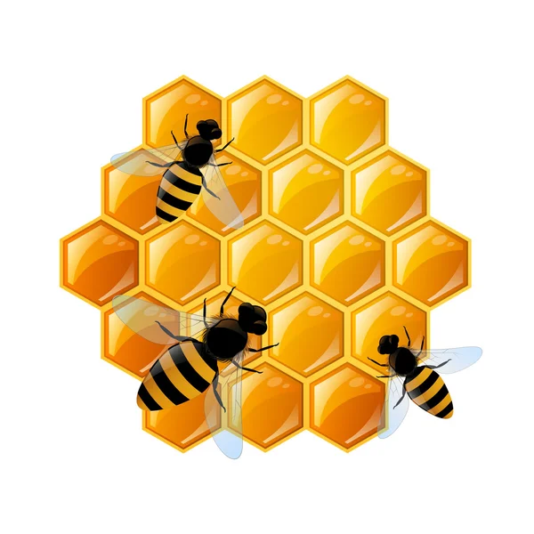 Favi e api — Vettoriale Stock