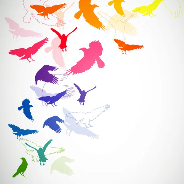Colorful birds — Stock Vector