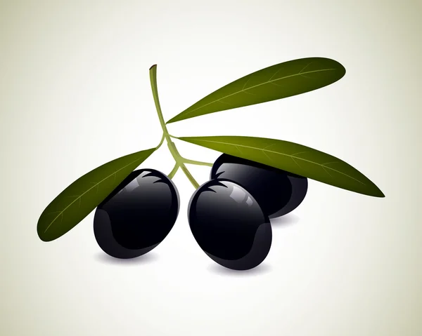 Frische Oliven — Stockvektor