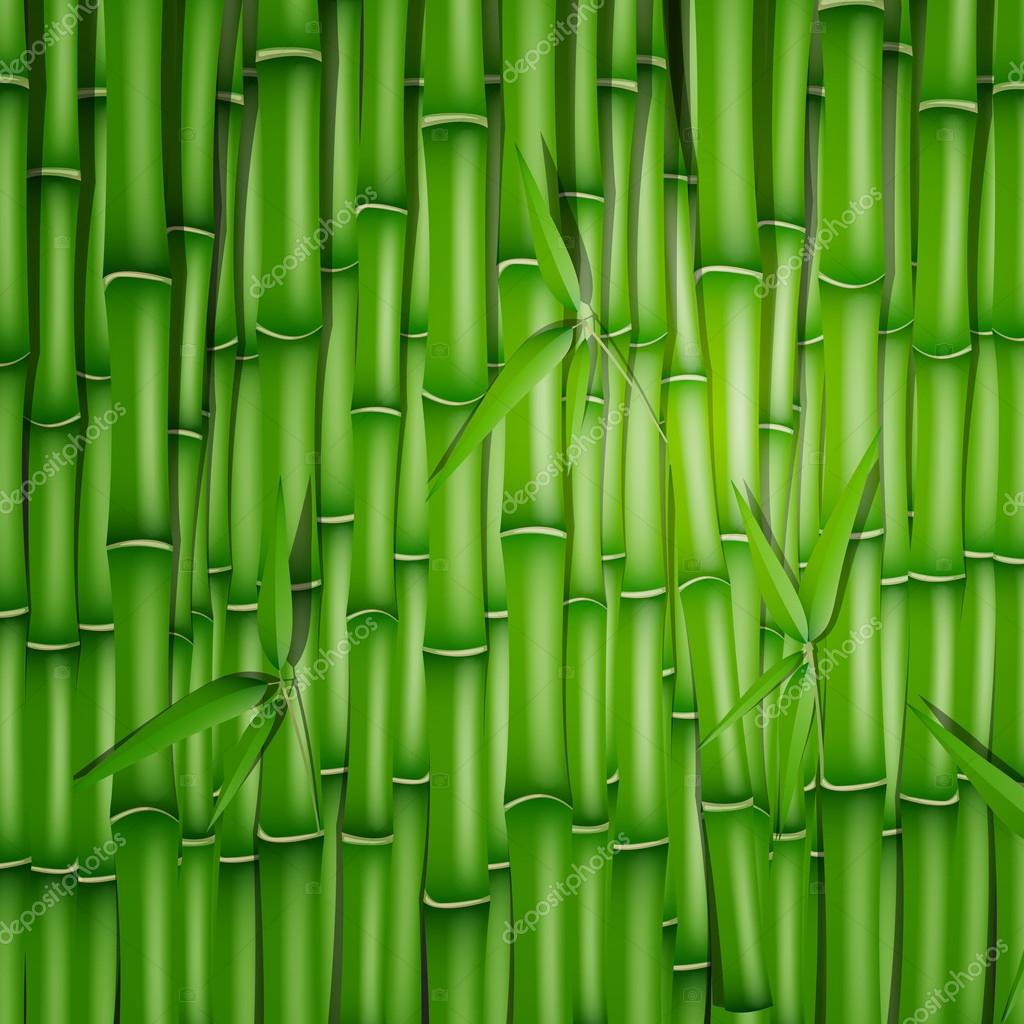 Bamboo Control: How To Get Rid Of Bamboo