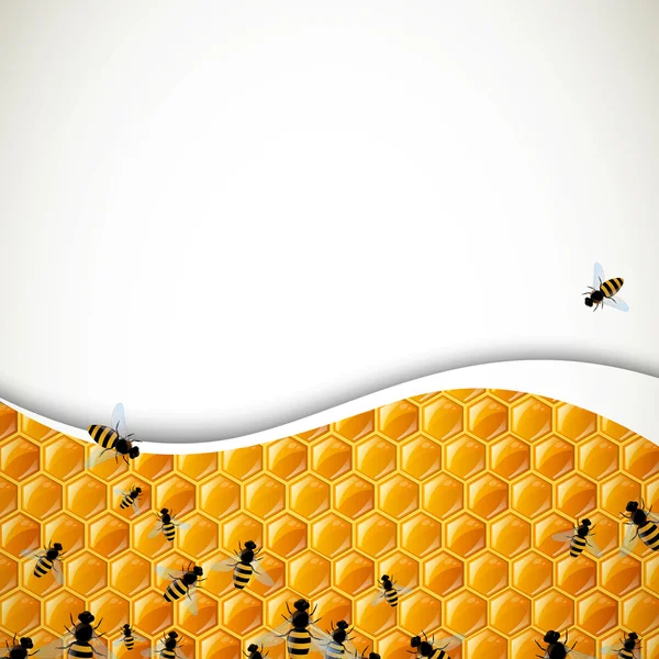 Abeilles et nids d'abeilles — Image vectorielle