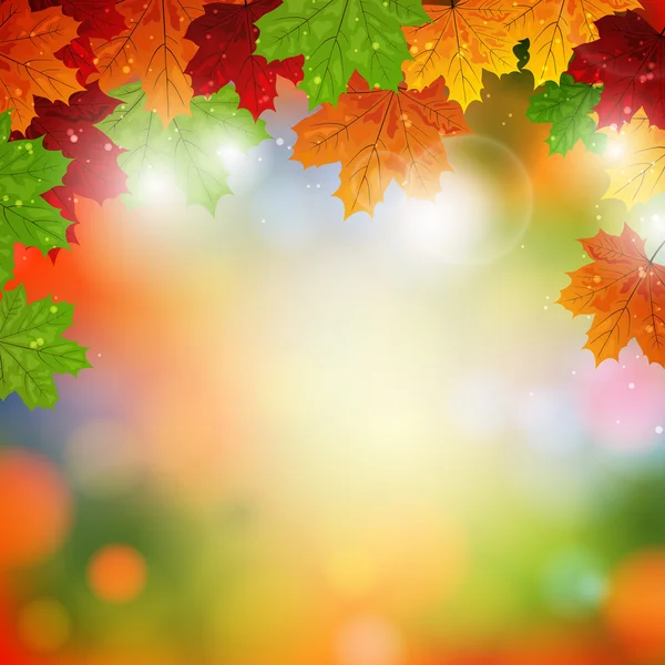 Φθινοπωρινά φύλλα — Διανυσματικό Αρχείο