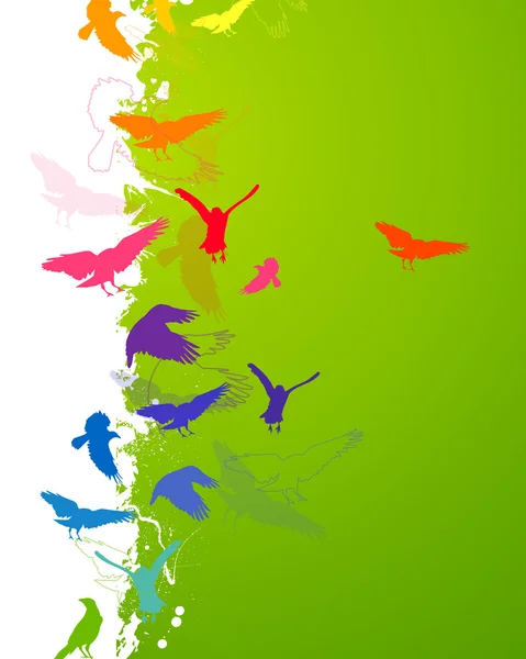 颜色鲜艳的鸟 — 图库矢量图片