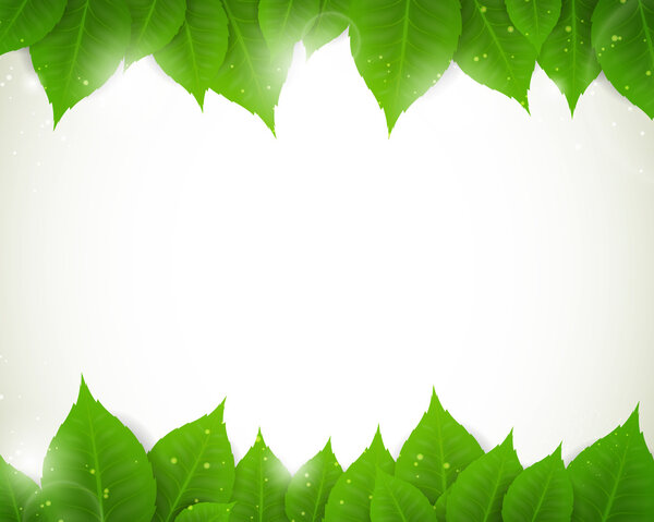 Green leaves