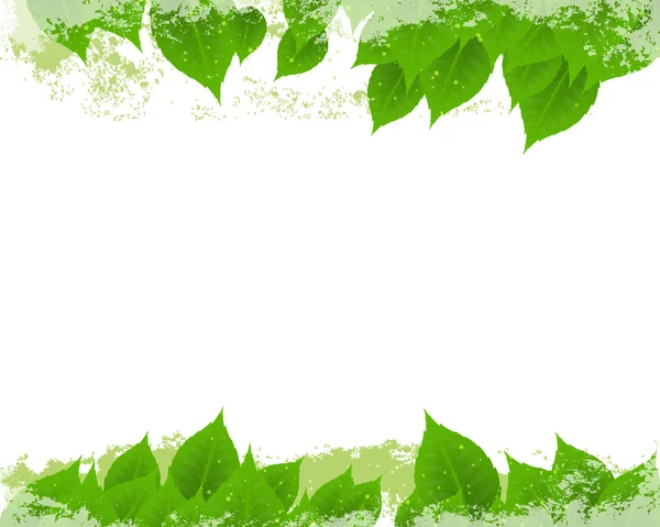 Green leaves — Stock Vector