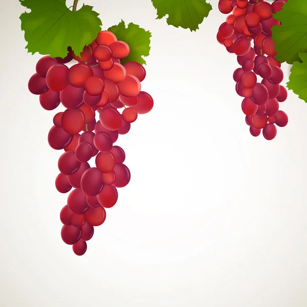 Vindruvor med blad — Stock vektor