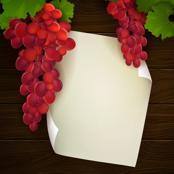 Uvas de vinificación — Vector de stock