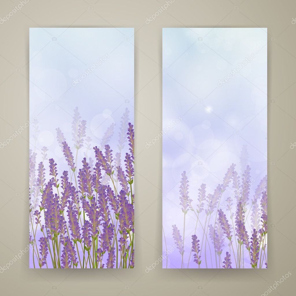 Lavender Banners