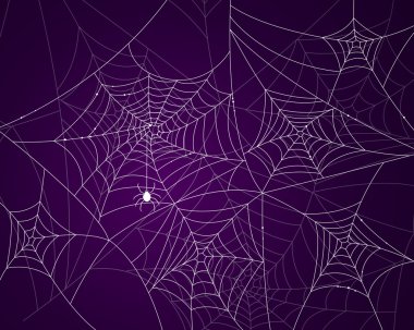 Spider Webs clipart
