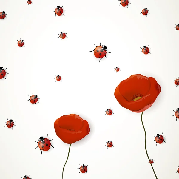 Red Poppy and Ladybirds — Stock Vector