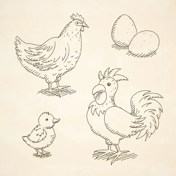 鸡和鸡蛋 — 图库矢量图片