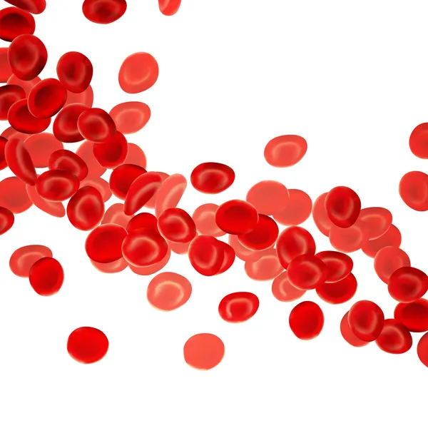 Blood cells — Stock Vector