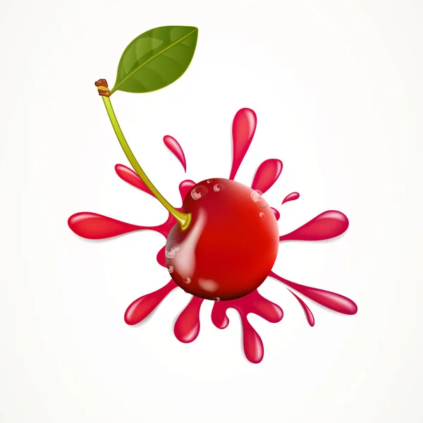 Vector Fresh Cherry — Stock Vector
