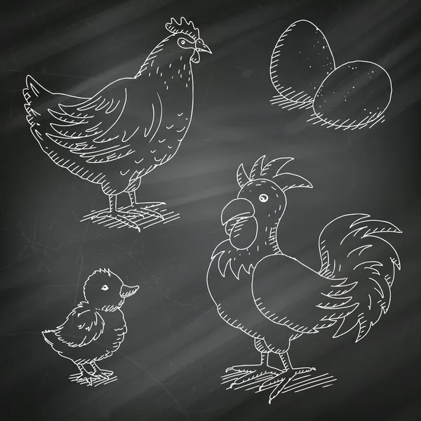 Galo de vetor, galinha, pintinho e ovos em um quadro preto — Vetor de Stock