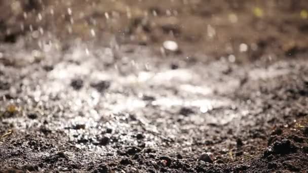 Rain falling on ground HD — Stock Video