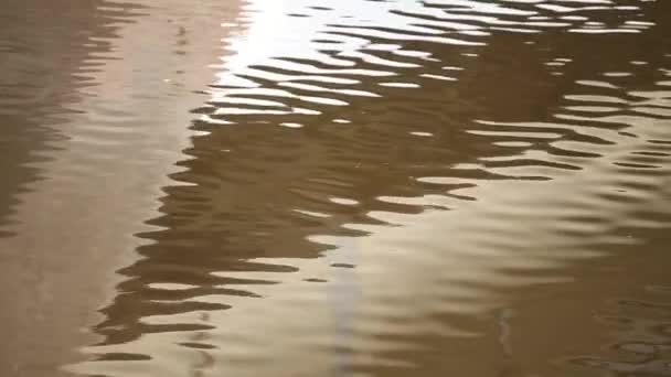 River with contaminated brown water — Stock Video