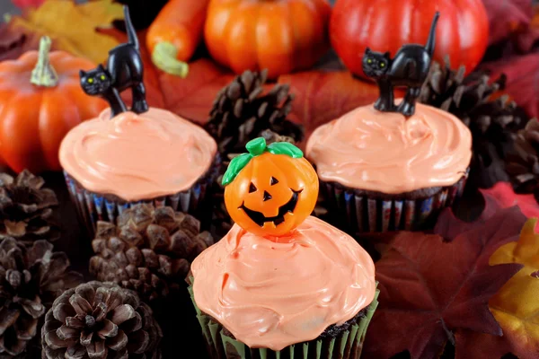 Cupcakes de Halloween en el ajuste de otoño por la noche —  Fotos de Stock