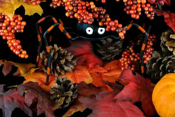 Nyckfull halloween spindel i blad och bär — Stockfoto