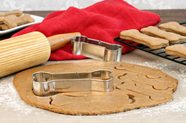 Faire des biscuits pour chien — Photo