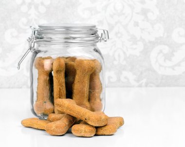 sağlıklı ev yapımı kabak köpek bisküvi cam kavanozda