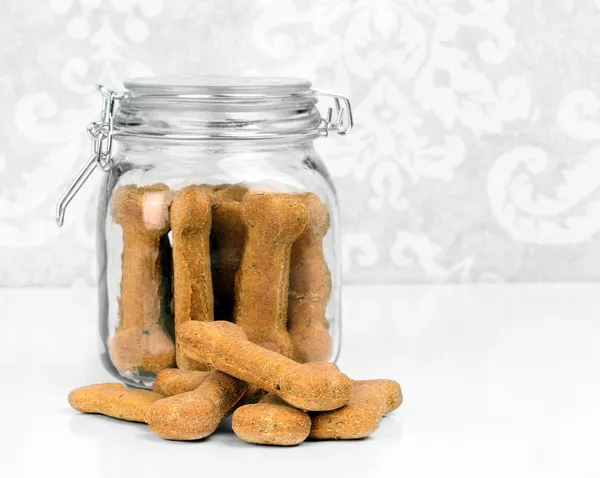 Biscoitos caseiros saudáveis do cão da abóbora em um frasco de vidro — Fotografia de Stock