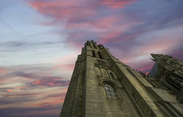 Domkyrkan (notre dame) av senlis, oise, Picardie, Frankrike — Stockfoto