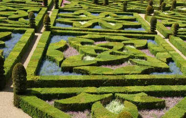 villandry, Fransa castle yakınındaki süs bahçeleri