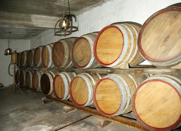 Barricas de roble en las que el vino madura en una bodega —  Fotos de Stock