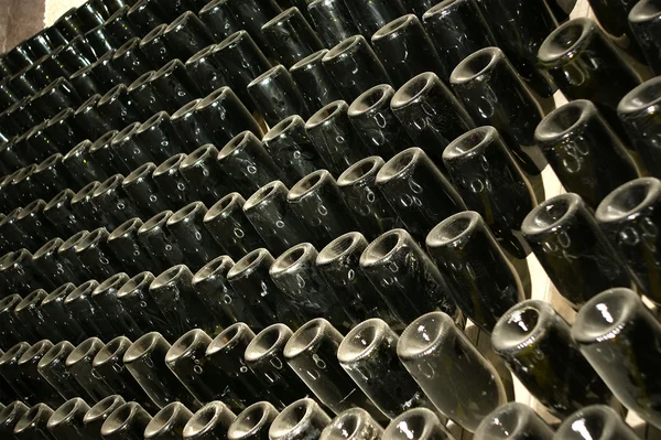 Garrafas de vinho Perspectiva — Fotografia de Stock