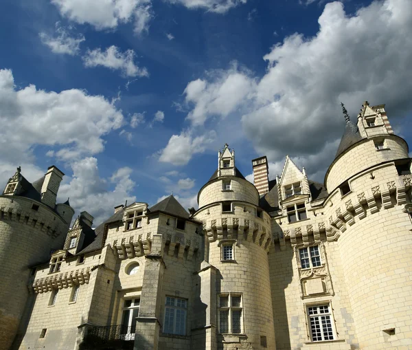 Usse Kalesi, loire valley, Fransa — Stok fotoğraf