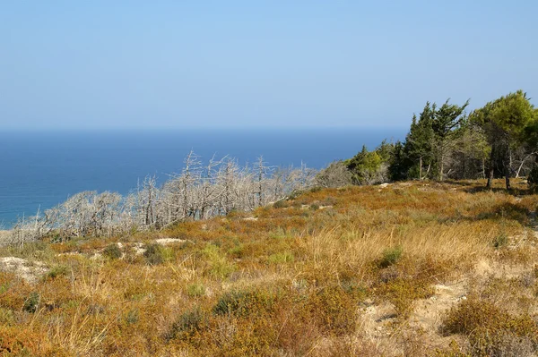 Paesaggio tipico dell'isola di Rodi, Grecia — Foto Stock