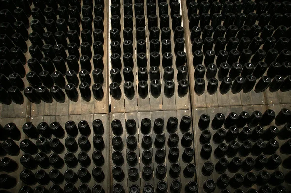 Garrafas de vinho Perspectiva — Fotografia de Stock
