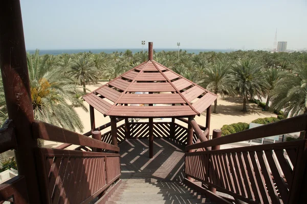 Vista del hermoso parque en Dubai, Emiratos Árabes Unidos. Playa y Parque Al Mamzar . — Foto de Stock