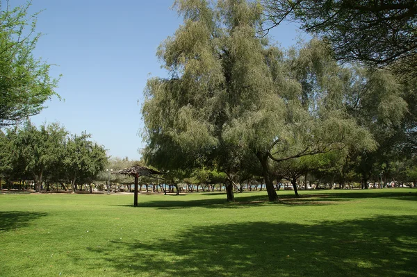 Widok z parku w Dubaju, ZEA. Al Mamzar i do parku. — Zdjęcie stockowe