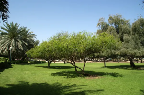 Widok z parku w Dubaju, ZEA. Al Mamzar i do parku. — Zdjęcie stockowe