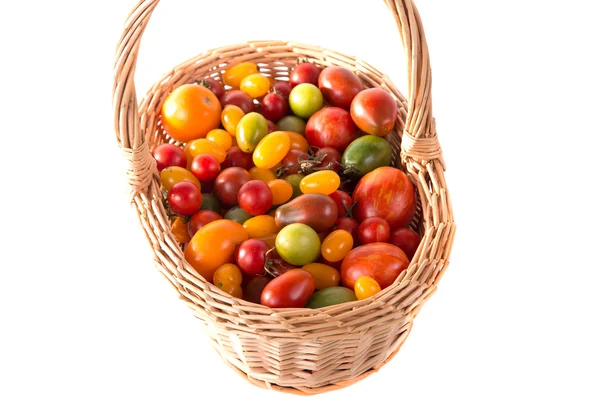 Nature morte avec des tomates de couleur différente — Photo