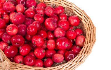 Kırmızı elma arka planda büyük bir grup