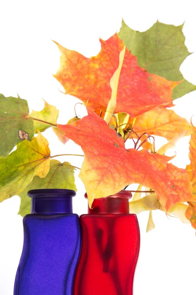 Bouquet of autumn leaves in bright colored vase — Stock Photo, Image