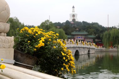 Beihai parkıdır--Pekin yasak şehir kuzeybatısında bir imparatorluk Bahçesi
